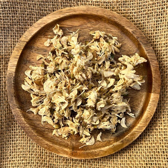 Acacia