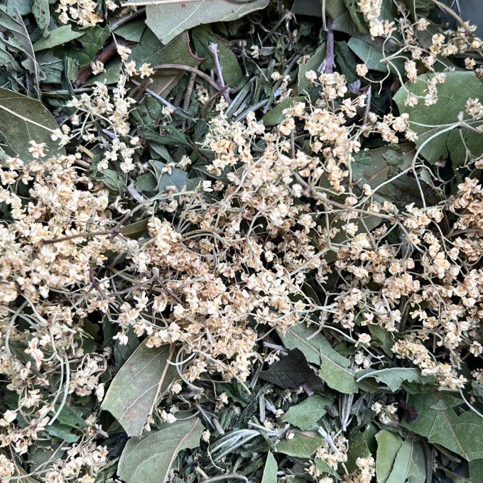 Tarab
