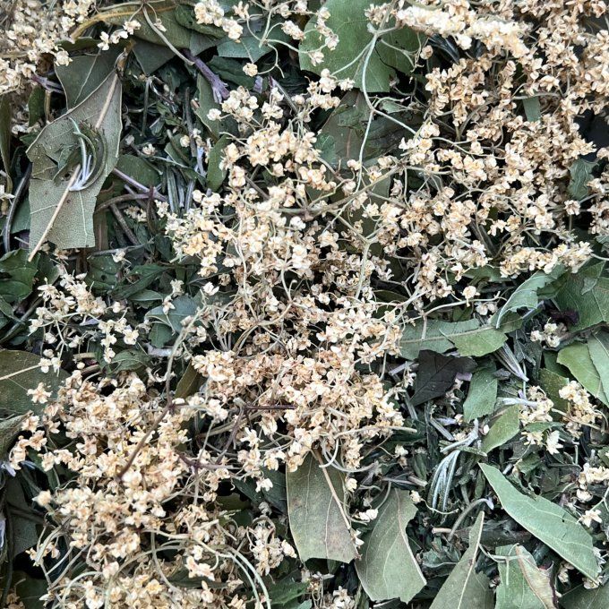 Tarab