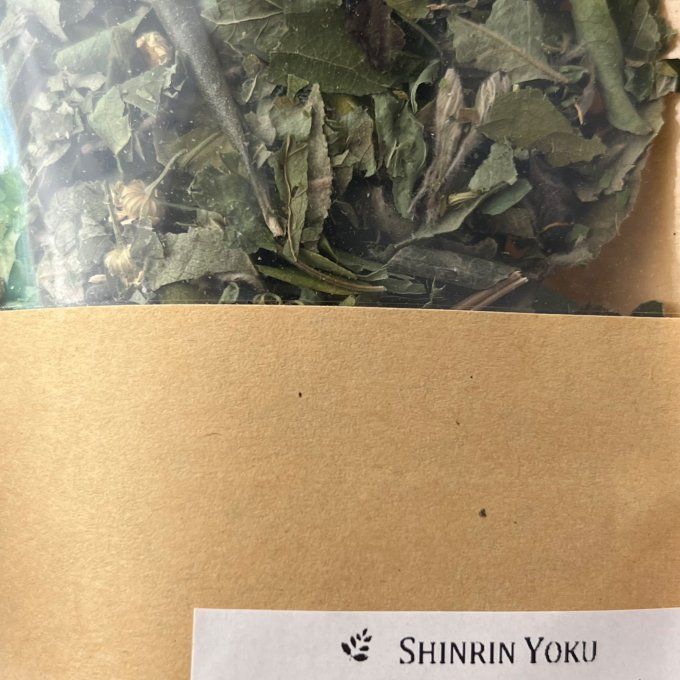 Shinrin Yoku