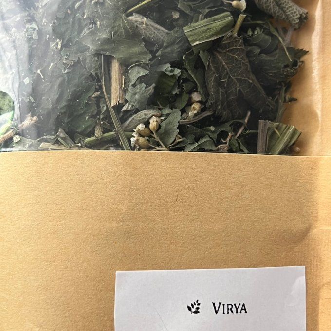 Virya