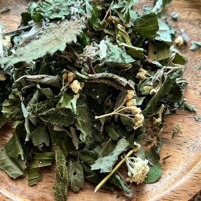 Virya