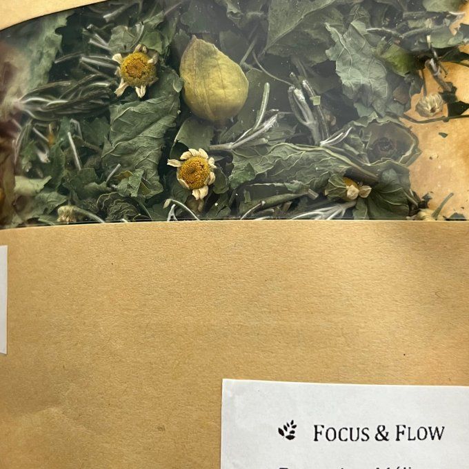 Focus & Flow