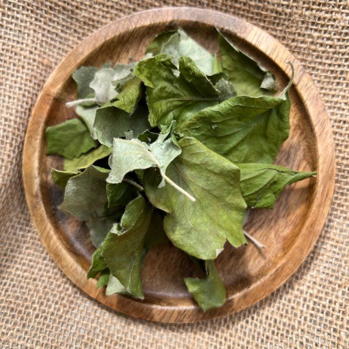 Cognassier (feuille)