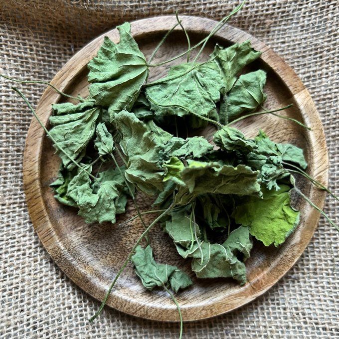 Mauve - feuille